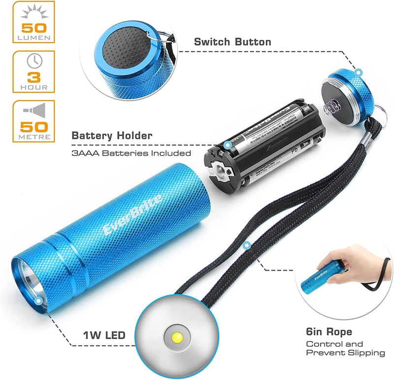 Everbrite 6-Pack Mini LED Flashlight Set, Aluminum LED Handheld Torches with Lanyard, 18AAA Batteries Included, for Kids Gift, Party Favor, Camping, Night Reading Hardware > Tools > Flashlights & Headlamps > Flashlights EverBrite   