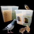 Automatic Pigeon Quail Bird Feeder Parrot No Mess Feeder Cage Accessories Supplies for Parakeet Canary Cockatiel Finch Animals & Pet Supplies > Pet Supplies > Bird Supplies > Bird Cage Accessories > Bird Cage Food & Water Dishes BUAKAW-X two hole  