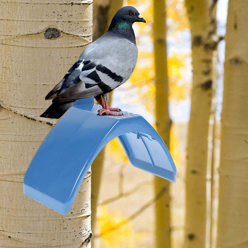 BCOATH 12Pcs Lightweight outside Pigeons Grill Plastic Pigeon Dove Blue Perching Perch Birds Perches- Wall-Mounted Wall- Stands Supplies Parrots Heat Rack Holder Useful Outdoor Roost Animals & Pet Supplies > Pet Supplies > Bird Supplies BCOATH   