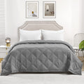 COMFLIVE Quilted Blanket with Satin Trim, down Alternative Blanket, Microfiber Lightweight Comforter, Squared Fashion Designs, 3M Moisture Absorption and Removal Treatment (Green, Full/Queen) Home & Garden > Linens & Bedding > Bedding > Quilts & Comforters COMFLIVE Double Quilted-grey King/Cal King 