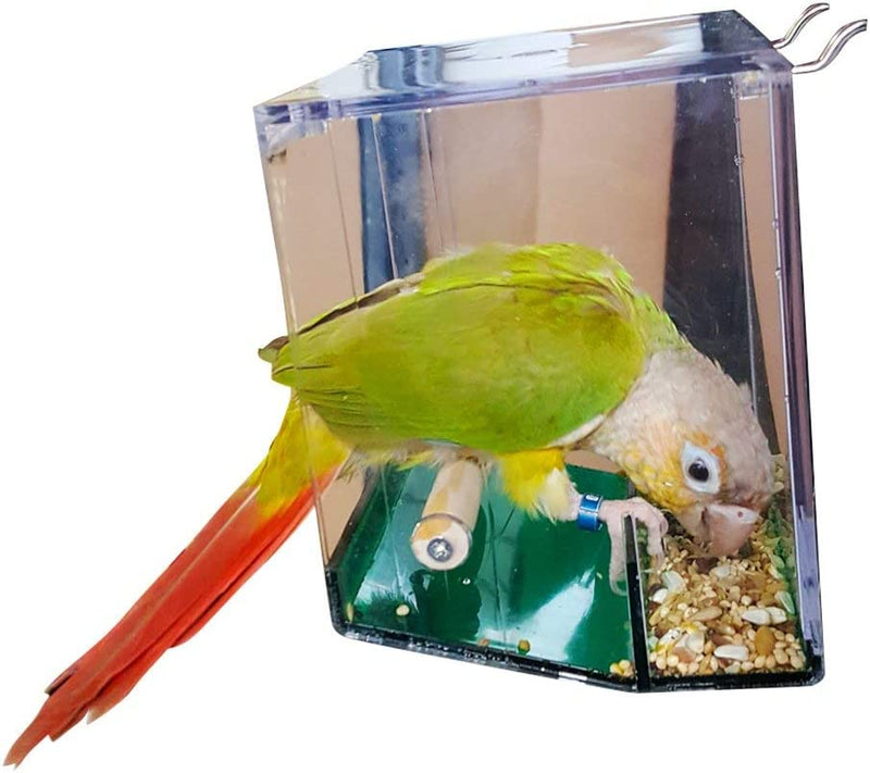 Birds LOVE Bird Feeder Seed Catcher Tray Hanging Cup Food Dish for Cage for Small Birds Lovebirds Cockatiels Canaries Sun Conures Blue with Green Bottom
