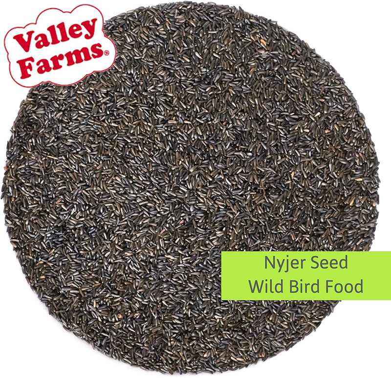 Valley Farms Nyjer Seed Wild Bird Food - Finches Favorite! 4 LBS