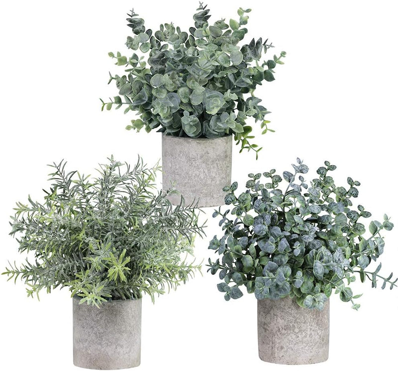 Winlyn Set of 3 Mini Potted Artificial Eucalyptus Plants Plastic Fake Green Rosemary Plant for Home Decor Office Desk Shower Room Decoration Home & Garden > Decor > Seasonal & Holiday Decorations Winlyn   