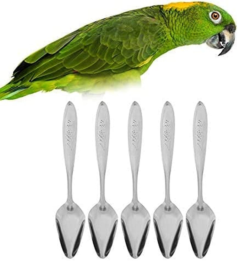 5Pcs Parrot'S Milk Powder Stainless Steel Spoon for Pet Birds Feeding Spoons Animals & Pet Supplies > Pet Supplies > Bird Supplies > Bird Cage Accessories > Bird Cage Food & Water Dishes Fdit   