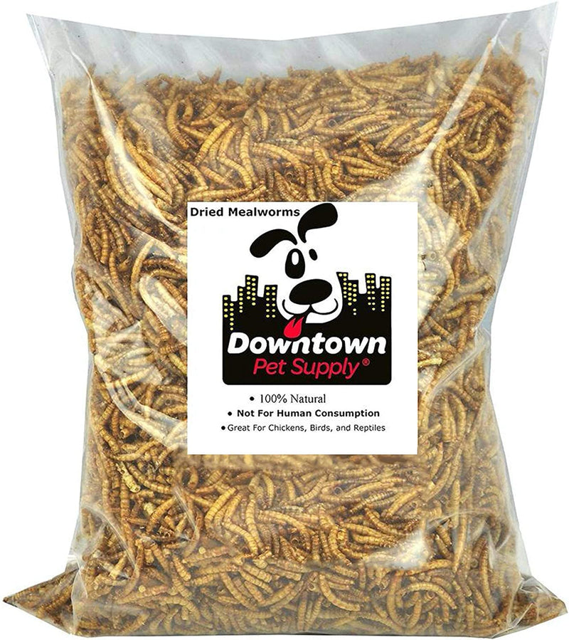 Downtown Pet Supply Dried Black Soldier Fly Larvae - Rich in Vitamin B12, B5, Protein, Fiber and Omega 3 Fatty Acids - Chicken, Duck and Bird Food - Reptile and Turtle Food - 0.5 Lbs Animals & Pet Supplies > Pet Supplies > Bird Supplies > Bird Food Downtown Pet Supply Dried Mealworms 1 LB 