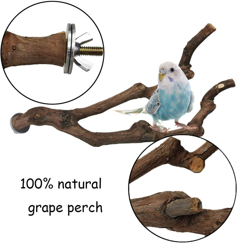 Kathson Natural Parrot Perch Bird Stand Pole Wild Grape Stick Paw Grinding Fork Parakeet Climbing Standing Branches Toy Chewable Cage Accessories for Small Budgies Cockatiels Lovebirds 4PCS Animals & Pet Supplies > Pet Supplies > Bird Supplies kathson   
