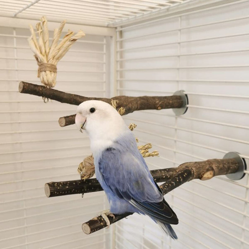 BCOATH String Small Playground Wood Bite Branch Budgie Natural Rod Perch Birds Decoration for Cage Standing Cockatiels Boredom Scratching Medium Perches Wooden Finches Swing Grinding Animals & Pet Supplies > Pet Supplies > Bird Supplies BCOATH   