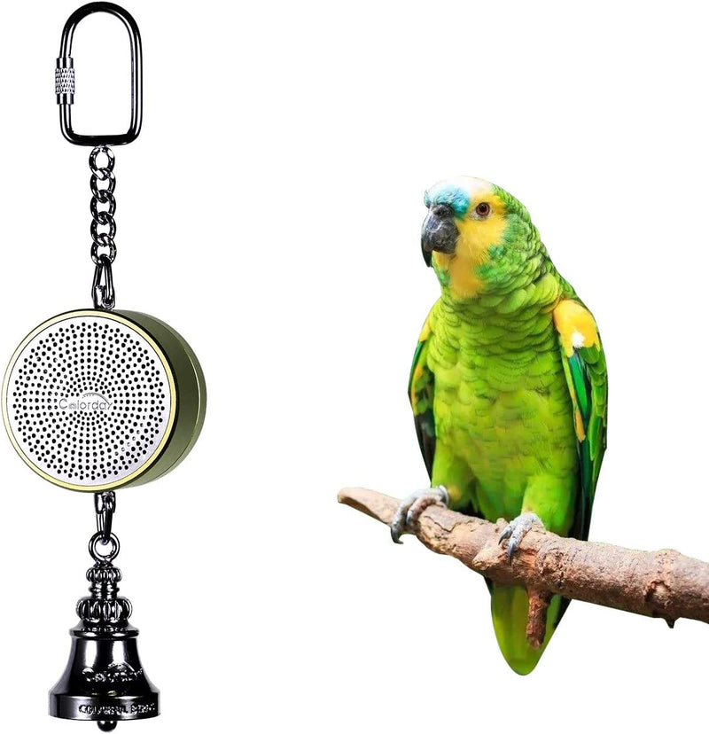 Colorday Bird Talking Coach & Interactive Bell Toy (Patent Pending),Silver Animals & Pet Supplies > Pet Supplies > Bird Supplies > Bird Toys Colorday Green  
