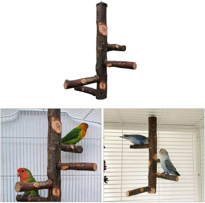 Ipetboom 1 Set Bird Cage Stand Wooden Perch Toy Training Stand Perch for Parrot Birds Animals & Pet Supplies > Pet Supplies > Bird Supplies Ipetboom   