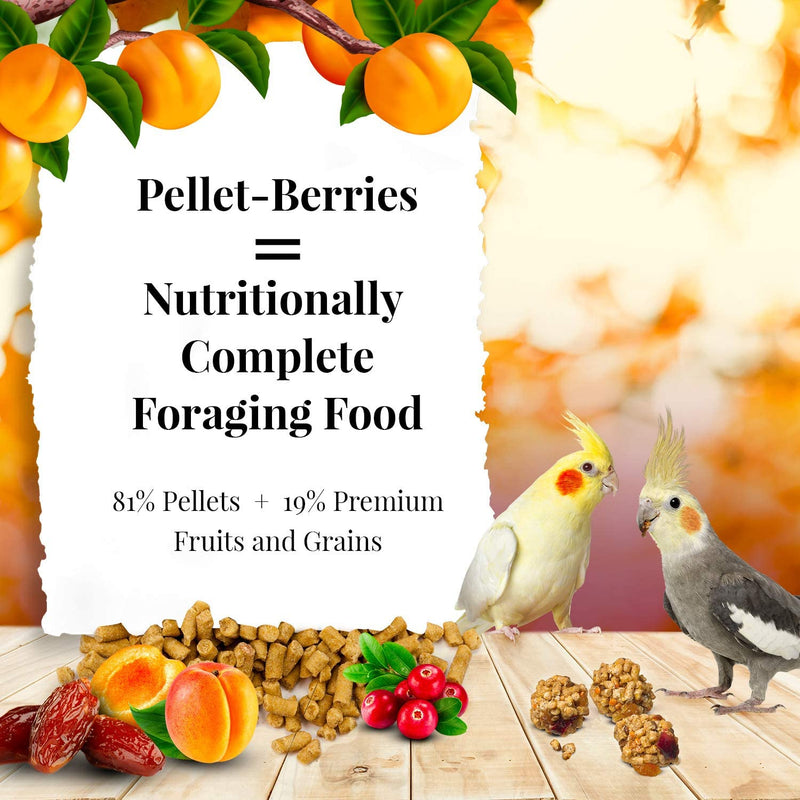 Lafeber’S Pellet-Berries Pet Bird Food, Made with Non-Gmo and Human-Grade Ingredients, for Cockatiels, 10 Oz Animals & Pet Supplies > Pet Supplies > Bird Supplies > Bird Food Lafeber Company   