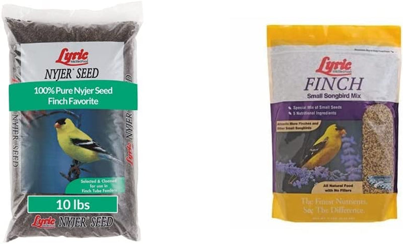 Lyric Nyjer Seed Wild Bird Seed Finch Food Bird Seed, 10 Lb. Bag Animals & Pet Supplies > Pet Supplies > Bird Supplies > Bird Food Lyric Seed + Bird Seed, 5 lb. Bag 10 lb 