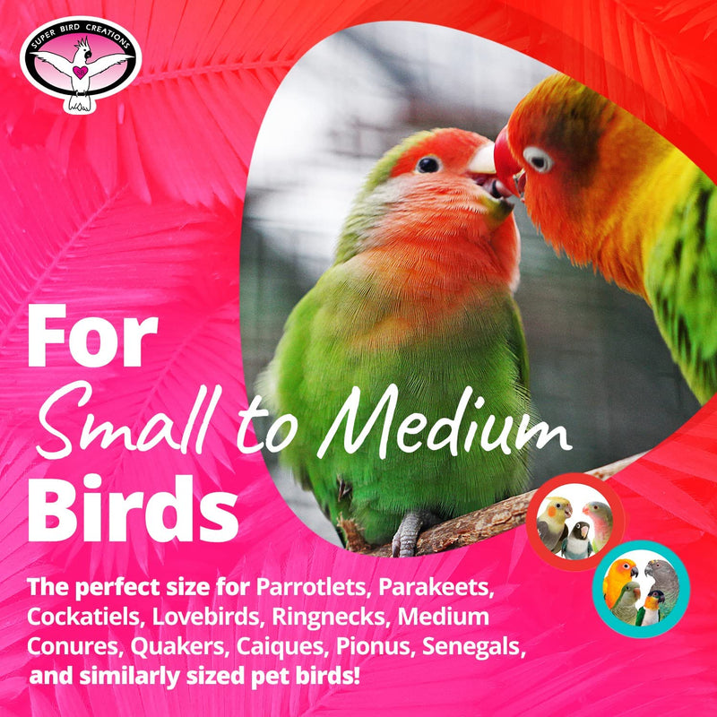 Super Bird Creations SB543 Busy Birdie Play Perch Bird Toy, Small/Medium Bird Size, 9.5" X 9.5" X 6"