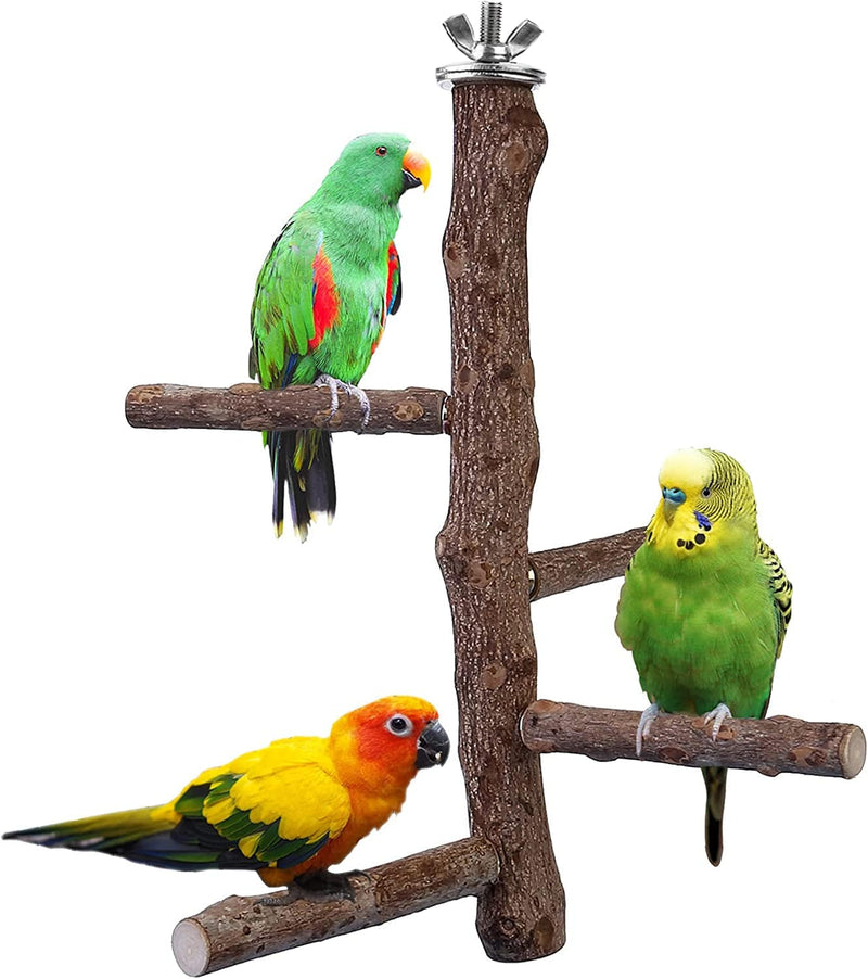 Filhome Bird Perch Stand Toy, Natural Wood Parrot Perch Bird Cage Branch Perch Accessories for Parakeets Cockatiels Conures Macaws Finches Love Birds (M: 10" Length) Animals & Pet Supplies > Pet Supplies > Bird Supplies > Bird Cages & Stands Timwaygo M: 10" Length  