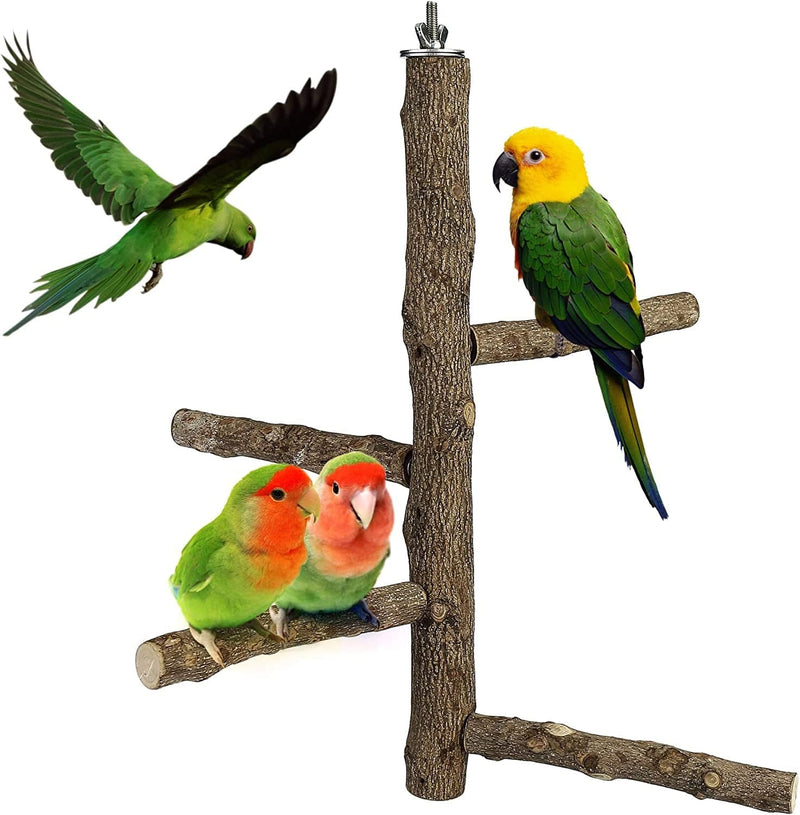 Filhome Bird Perch Stand Toy, Natural Wood Parrot Perch Bird Cage Branch Perch Accessories for Parakeets Cockatiels Conures Macaws Finches Love Birds (M: 10" Length) Animals & Pet Supplies > Pet Supplies > Bird Supplies > Bird Cages & Stands Timwaygo L: 13.8" Length  