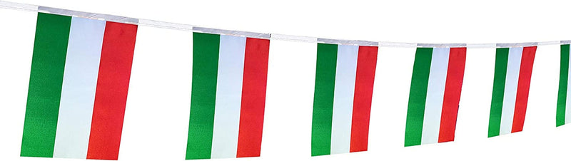 France Flag French Flag,100Feet/76Pcsnational Country World Pennant Flags Banner,Party Decorations Supplies for Olympics,Bar,Indoor and Outdoor Flags,Intarnational Festival