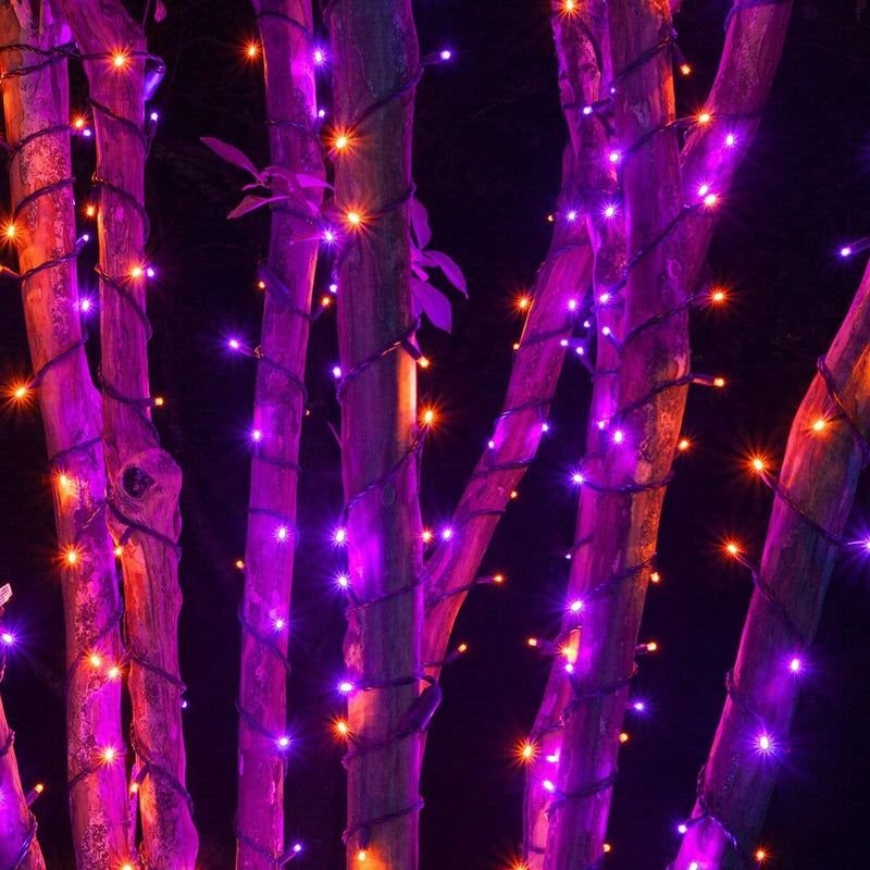 FUNPENY 300 LED Indoor String Lights, 100 FT Plug in Waterproof String Lights with 8 Modes for Halloween Thanksgiving Christmas Garden Decoration, Indoor and Outdoor Decorations (Purple-Orange) Home & Garden > Lighting > Light Ropes & Strings FUNPENY   