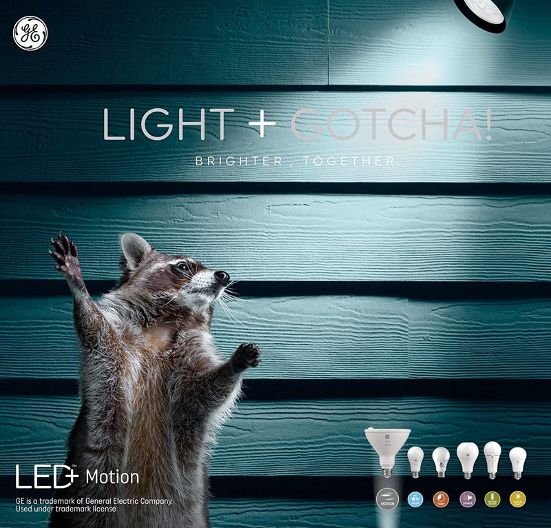 GE LED+ Motion Sensor Light Bulbs, Warm White, Security Light, PAR38 Outdoor Floodlight Bulb (2 Pack) Home & Garden > Lighting > Flood & Spot Lights GE Lighting, a Savant Company   