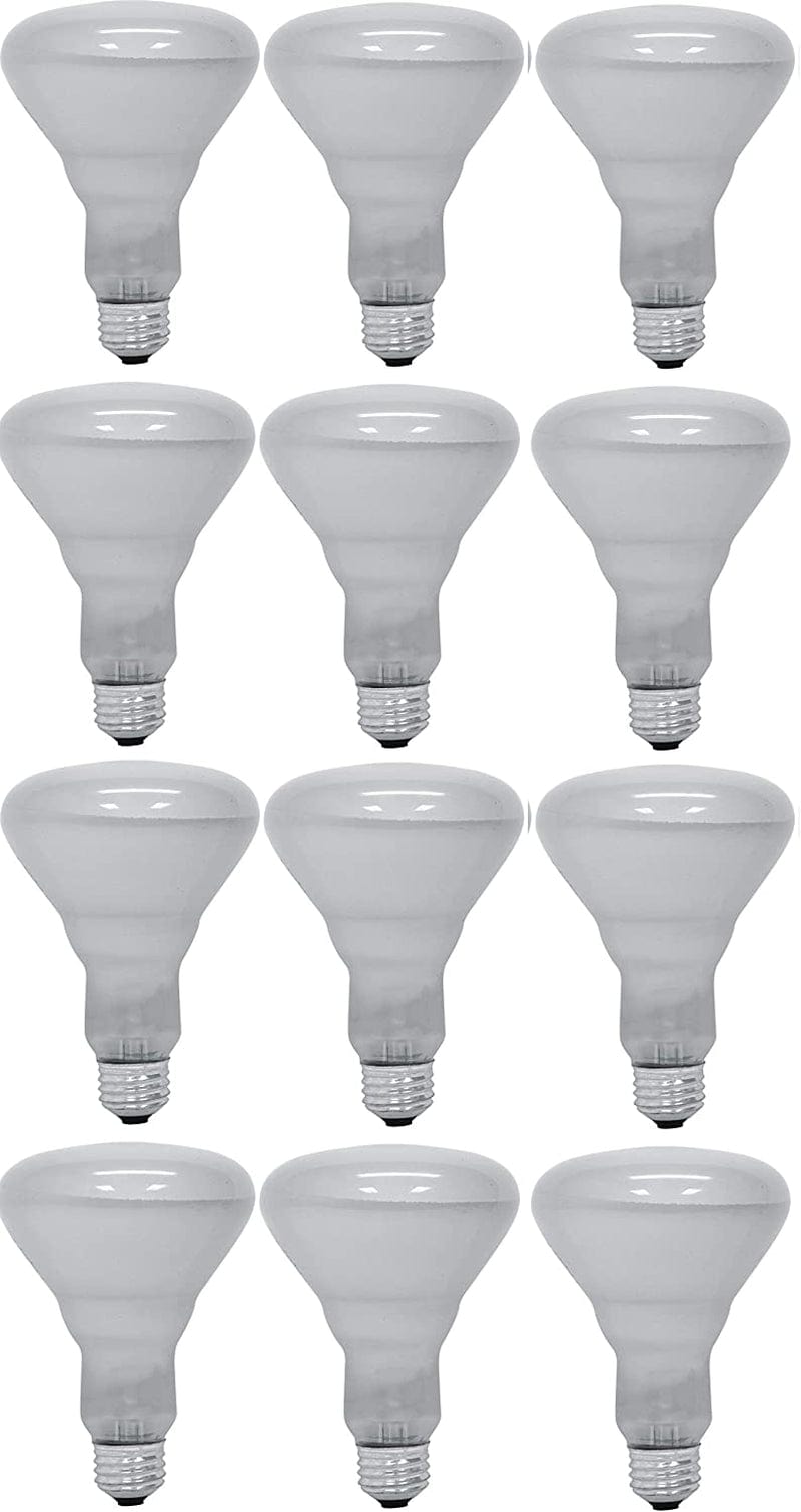 GE Lighting 65-Watt 610-Lumen R30 Floodlight Bulb, Soft White - 6 Pack Home & Garden > Lighting > Flood & Spot Lights GE Lighting 12 Pack  