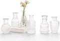 Glass Bud Vase Set of 10 - Small Vases for Flowers, Clear Bud Vases in Bulk, Cute Glass Vases for Centerpieces, Mini Vintage Vase for Rustic Wedding Decorations, Home Table Flower Decor Home & Garden > Decor > Seasonal & Holiday Decorations Bonne Ambiance Clear 6 PCS 