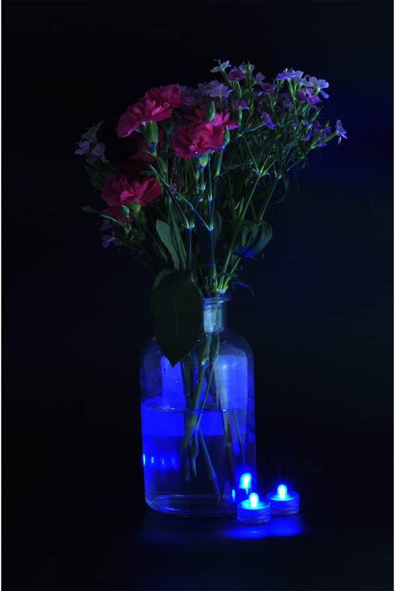 Halloween Lights Submersible LED Lights Cr2032 Battery Powered Underwater Waterproof LED Tea Light for Events Wedding Centerpieces Vase Floral Xmas Holidays Home Decor Lighting(Pack of 12) (Blue) Home & Garden > Pool & Spa > Pool & Spa Accessories Shenzhen Kitosun Tech., Co., Ltd   