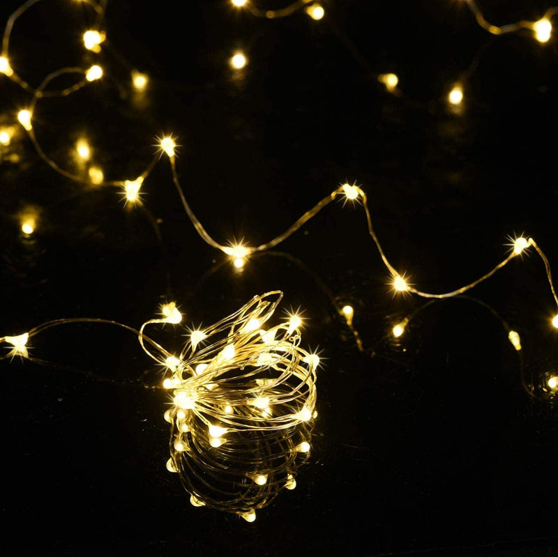 HAOSEE 20 Pack Each 30 LED Fairy Lights Battery Operated,5Ft Silver Wire Warm White Mason Jar Lights,Firefly Mini Led String Lights for Mason Jars Party Crafts Wedding Décor Home & Garden > Lighting > Light Ropes & Strings HAOSEE   
