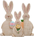Hodao Set of 3 Easter Bunny Decorations Spring Easter Rabbit Decors Figurines Tabletopper Decorations for Party Home Holiday Cute Bunny Easter Day Decorations Home & Garden > Decor > Seasonal & Holiday Decorations BOYON Brown-family  