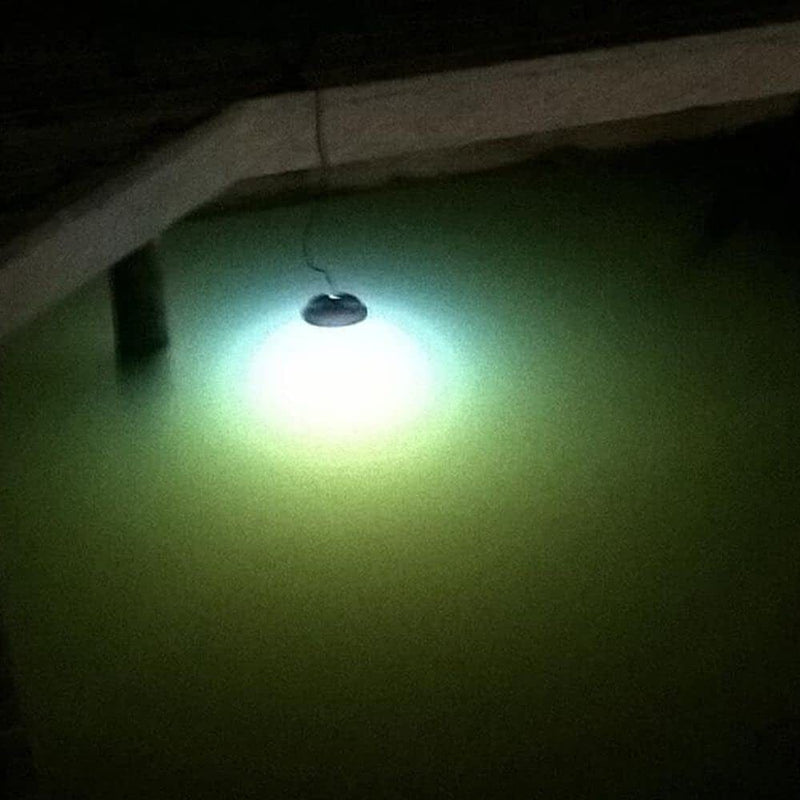 Hydro Glow FFL12 Floating Fish Light W/20' Cord - LED - 12W - 12V - White Home & Garden > Pool & Spa > Pool & Spa Accessories Hydro Glow   