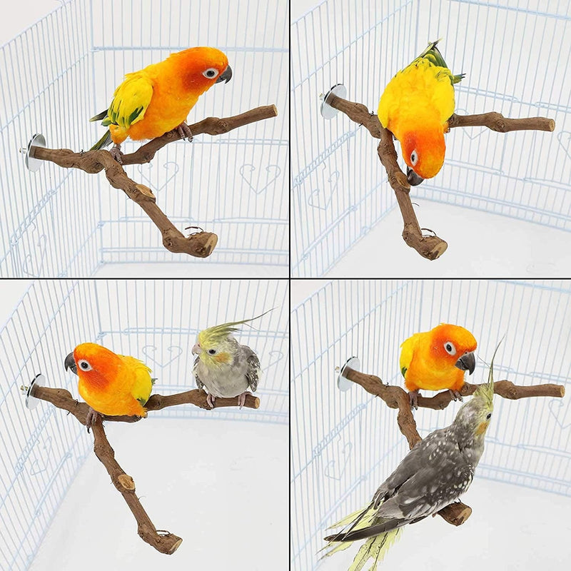 Kathson Natural Parrot Perch Bird Stand Pole Wild Grape Stick Paw Grinding Fork Parakeet Climbing Standing Branches Toy Chewable Cage Accessories for Small Budgies Cockatiels Lovebirds 3PCS Animals & Pet Supplies > Pet Supplies > Bird Supplies > Bird Cages & Stands kathson   