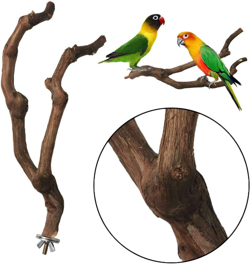 Kathson Natural Parrot Perch Bird Stand Pole Wild Grape Stick Paw Grinding Fork Parakeet Climbing Standing Branches Toy Chewable Cage Accessories for Small Budgies Cockatiels Lovebirds 2PCS Animals & Pet Supplies > Pet Supplies > Bird Supplies > Bird Cages & Stands kathson   