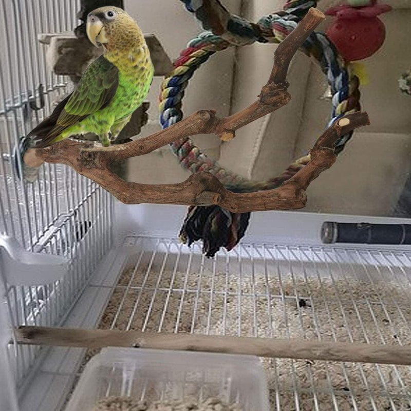 Kathson Natural Parrot Perch Bird Stand Pole Wild Grape Stick Paw Grinding Fork Parakeet Climbing Standing Branches Toy Chewable Cage Accessories for Small Budgies Cockatiels Lovebirds 2PCS Animals & Pet Supplies > Pet Supplies > Bird Supplies > Bird Cages & Stands kathson   