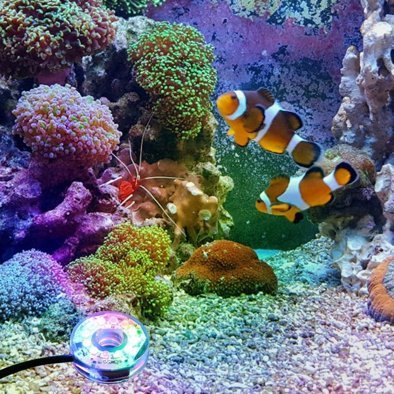 LED Aquarium Light, Colorful Submersible LED Light Waterproof USB Underwater Light for Aquarium Fish Tank Home & Garden > Pool & Spa > Pool & Spa Accessories MiOYOOW   