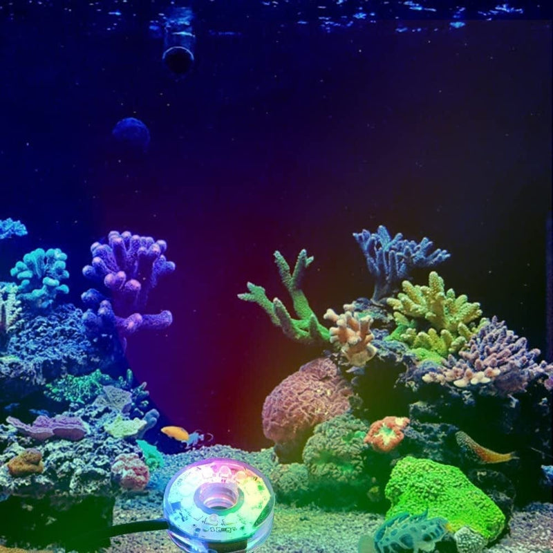 LED Aquarium Light, Colorful Submersible LED Light Waterproof USB Underwater Light for Aquarium Fish Tank Home & Garden > Pool & Spa > Pool & Spa Accessories MiOYOOW   