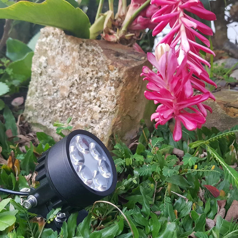 Legacy Mini 50X Twin Solar-Powered LED Spotlight (Warm White LED) for Outdoor Garden Yard Landscape Uplight Downlight, Waterproof, Black Finish Home & Garden > Lighting > Flood & Spot Lights Solar Light Mart   