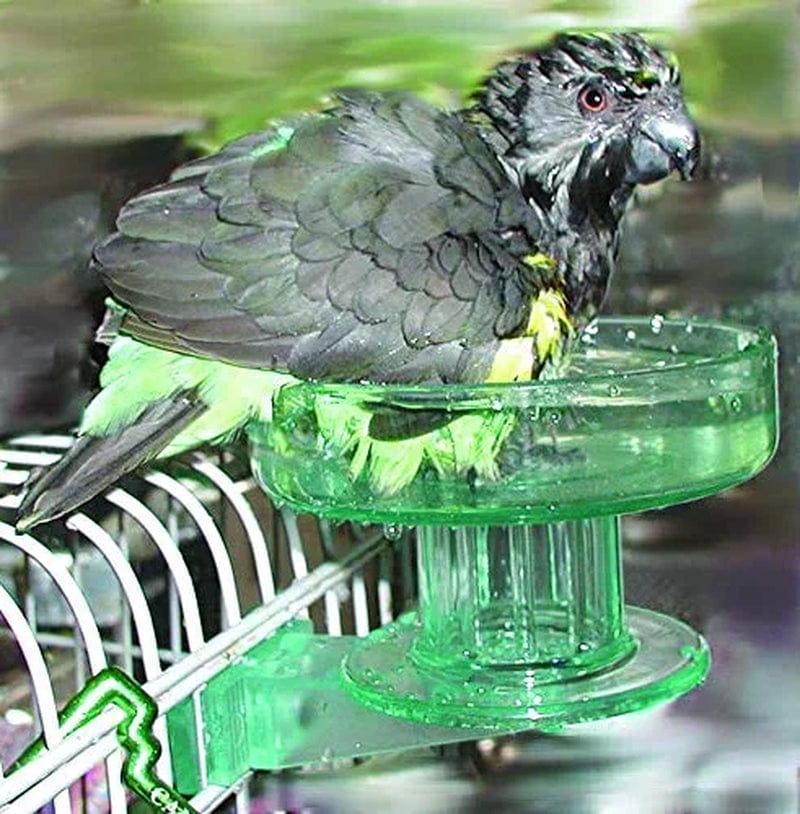 Lixit Quick Lock Bird Cage Bath for Lovebirds, Canaries, Finches, Parakeets, and Cockatiels and Other Small to Medium Feathered Friends (Pack of 1) Animals & Pet Supplies > Pet Supplies > Bird Supplies > Bird Cages & Stands Lixit   