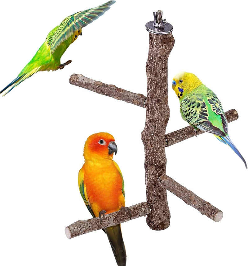 Mogoko Natural Wood Bird Perch Stand, Hanging Multi Branch Perch for Parrots, Parakeets Cockatiels, Conures, Macaws , Love Birds, Finches