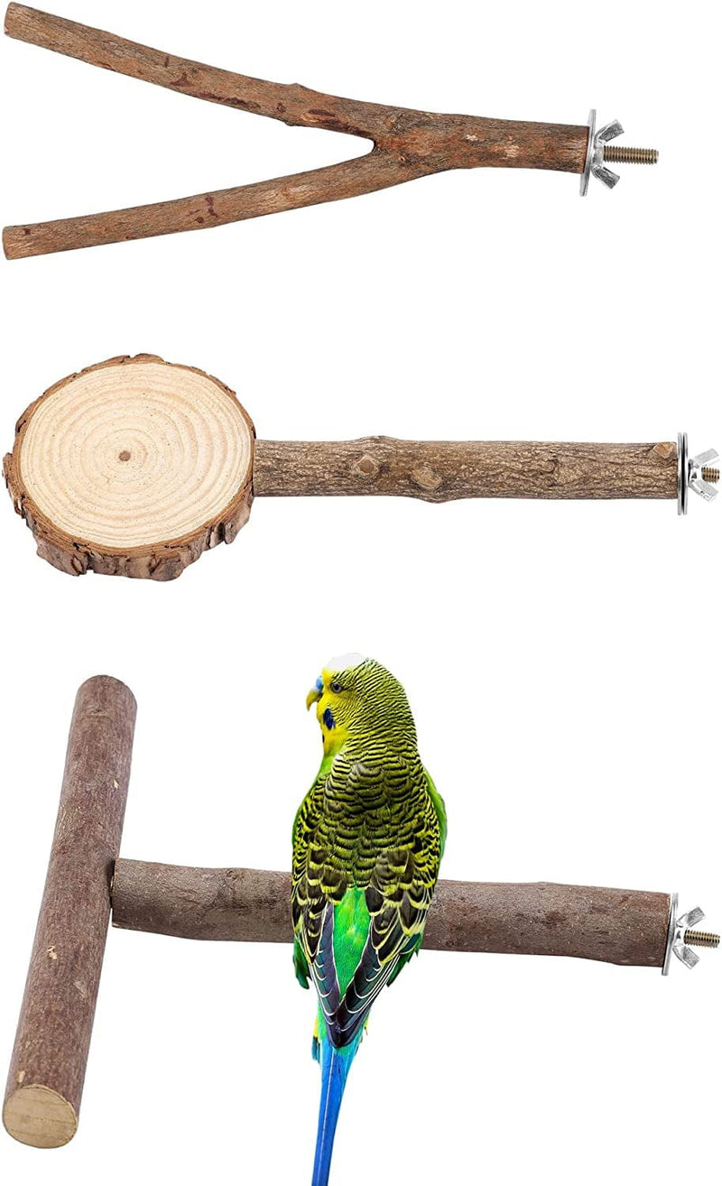 Mogoko Natural Wood Bird Perch Stand, Hanging Multi Branch Perch for Parrots, Parakeets Cockatiels, Conures, Macaws , Love Birds, Finches Animals & Pet Supplies > Pet Supplies > Bird Supplies > Bird Cages & Stands Mogoko Style YPT  