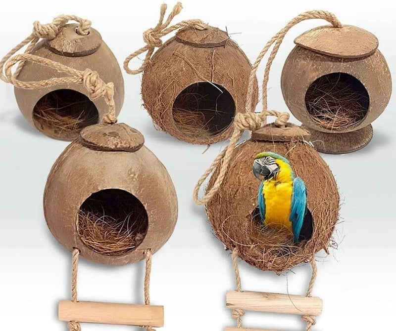 Moisture Bird Cages Hanging Coconut Bird House with Ladder Portable Bird Cage Bird Carrier Bird Cage Accessories Hanging Bird Cage Parrot Parakeet Cage (Color : B) Animals & Pet Supplies > Pet Supplies > Bird Supplies > Bird Cages & Stands moisture   