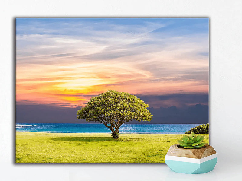 Nature Landscape Wall Art Decor of Shrub in Coastal Hill,Bedroom Wall Art Mural of Sunset Seascape Scenery,Changing Colour Sky Canvas Wall Art Painting Picture Print Poster Artwork,Inner Frame(12X16) Home & Garden > Decor > Artwork > Posters, Prints, & Visual Artwork Palderwallart   