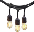 NIOSTA 24Ft Outdoor Hanging String Lights with 12 Dimmable LED Vintage Bulbs Commercial Grade Strand for Market Cafe Bistro Patio Party Tent Porch Garden -Blk Home & Garden > Lighting > Light Ropes & Strings NIOSTA Soft 2700K - Black Wire 24FT-12 bulb 