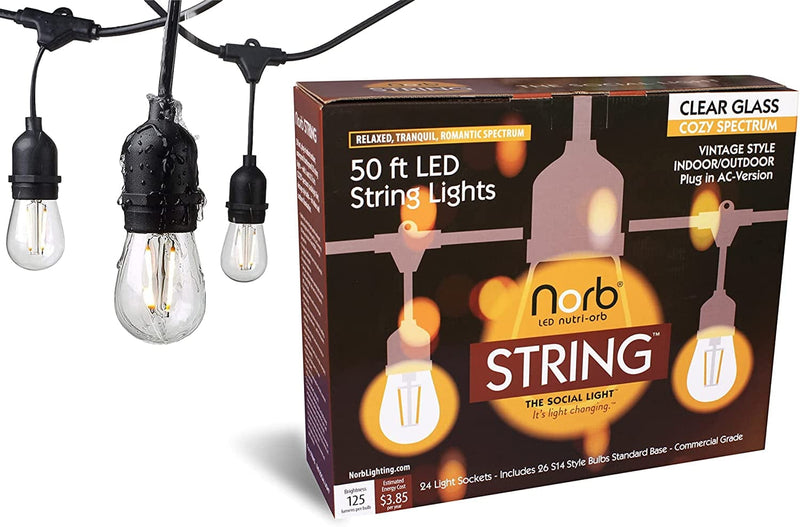 Norbstring, 50 Foot, Plug-In Outdoor/Indoor, LED String Lights. 2W AC Cozy-Spectrum (Candlelight-Like), Shatterproof, Vintage Style - for Indoor, Backyard & Patio. 60% More Bulbs than Leading Brand! Home & Garden > Lighting > Light Ropes & Strings Norb 50' Light String w/ 24 bulbs  