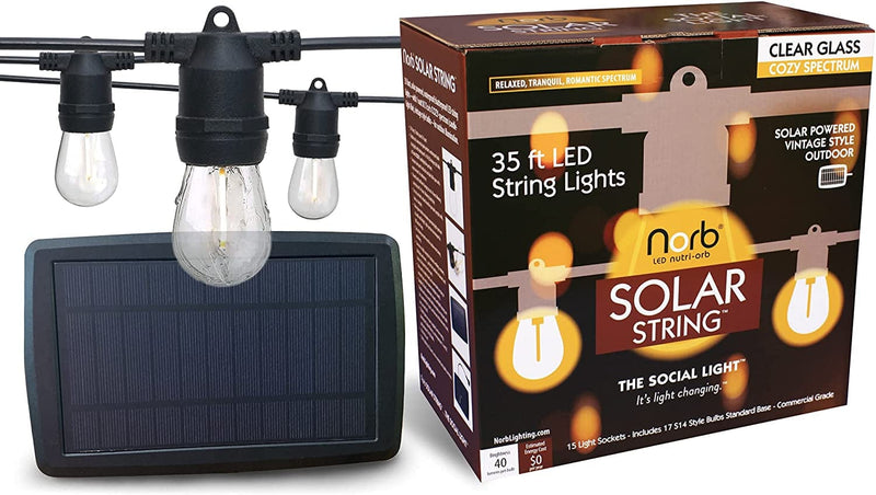 Norbstring, 50 Foot, Plug-In Outdoor/Indoor, LED String Lights. 2W AC Cozy-Spectrum (Candlelight-Like), Shatterproof, Vintage Style - for Indoor, Backyard & Patio. 60% More Bulbs than Leading Brand! Home & Garden > Lighting > Light Ropes & Strings Norb 35' Solar String w/ 17 bulbs  