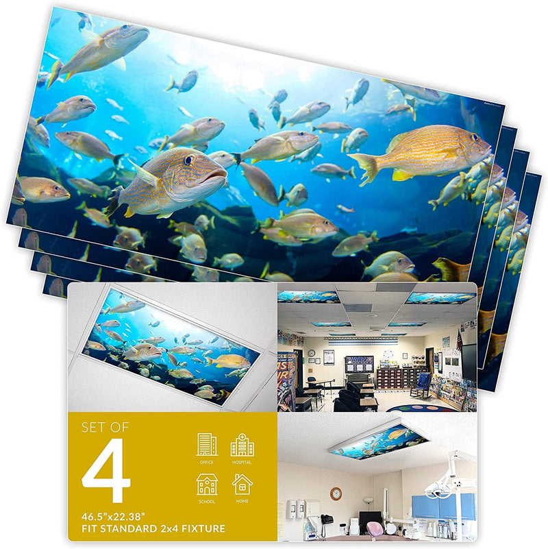 Octo Lights Fluorescent Light Covers for Ceiling Lights Classroom 2X4 (22.38In X 46.5In) Improve Focus, Eliminate Headaches, Provide Florescent Light Relief - Ocean 009 Home & Garden > Pool & Spa > Pool & Spa Accessories OCTO LIGHTS School Master Fish 4pk 