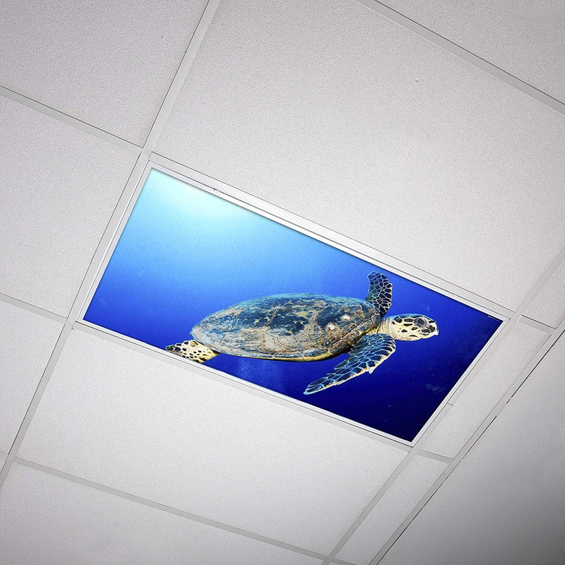 Octo Lights Fluorescent Light Covers for Ceiling Lights Classroom 2X4 (22.38In X 46.5In) Improve Focus, Eliminate Headaches, Provide Florescent Light Relief - Ocean 009 Home & Garden > Pool & Spa > Pool & Spa Accessories OCTO LIGHTS Loggerhead Sea Turtle 1pk 