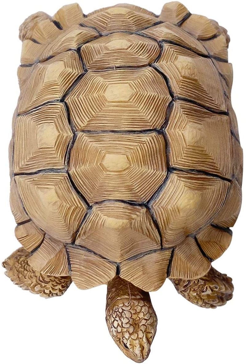 PPCLION Sulcata Tortoise Statue Figurine Collection Gift Decorations Home & Garden > Decor > Seasonal & Holiday Decorations PPCLION   