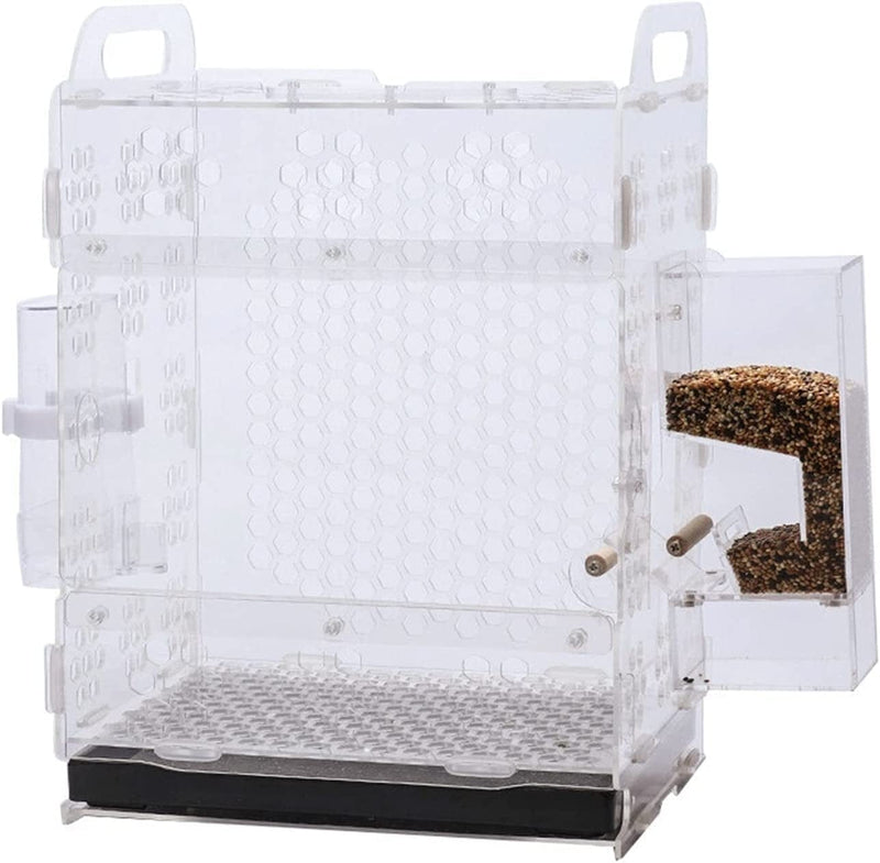 RAZZUM Large Bird Cage Pet Bird Cage Acrylic Breathable Bird House Parrot Tiger Skin Breeding Cage with Bird Accessories Cage Parrot Cage Animals & Pet Supplies > Pet Supplies > Bird Supplies > Bird Cages & Stands RAZZUM   
