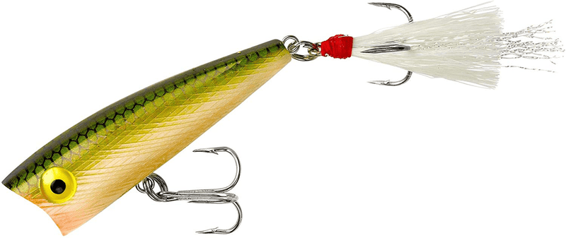 Rebel Lures Pop-R Topwater Popper Fishing Lure Sporting Goods > Outdoor Recreation > Fishing > Fishing Tackle > Fishing Baits & Lures Rebel Tennessee Shad Teeny Pop-r (1/8 Oz) 