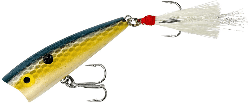 Rebel Lures Pop-R Topwater Popper Fishing Lure Sporting Goods > Outdoor Recreation > Fishing > Fishing Tackle > Fishing Baits & Lures Rebel Foxy Shad Teeny Pop-r (1/8 Oz) 