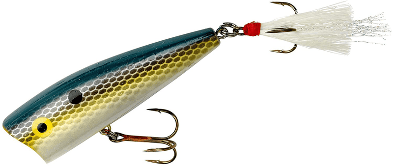 Rebel Lures Pop-R Topwater Popper Fishing Lure Sporting Goods > Outdoor Recreation > Fishing > Fishing Tackle > Fishing Baits & Lures Rebel Foxy Shad Magnum Pop-r (1/2 Oz) 