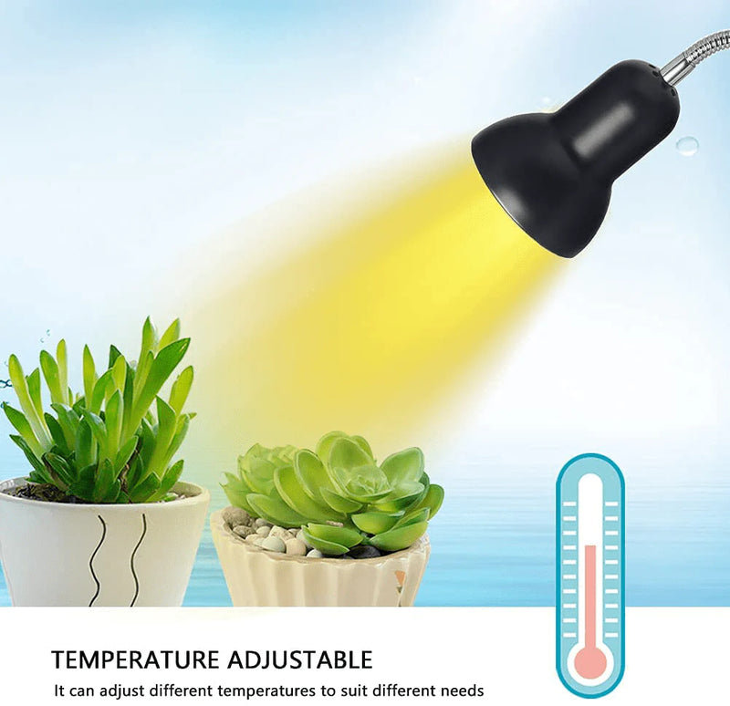 Reptile Heating Lamp and Plant Lamp (UVA UVB), Baking Spotlight with Bracket and Time Switch, Suitable for Amphibians Such As Lizards, Turtles, Snakes and Aquatic Plants (2 Bulbs, 110V) Animals & Pet Supplies > Pet Supplies > Reptile & Amphibian Supplies > Reptile & Amphibian Habitat Heating & Lighting YXW   