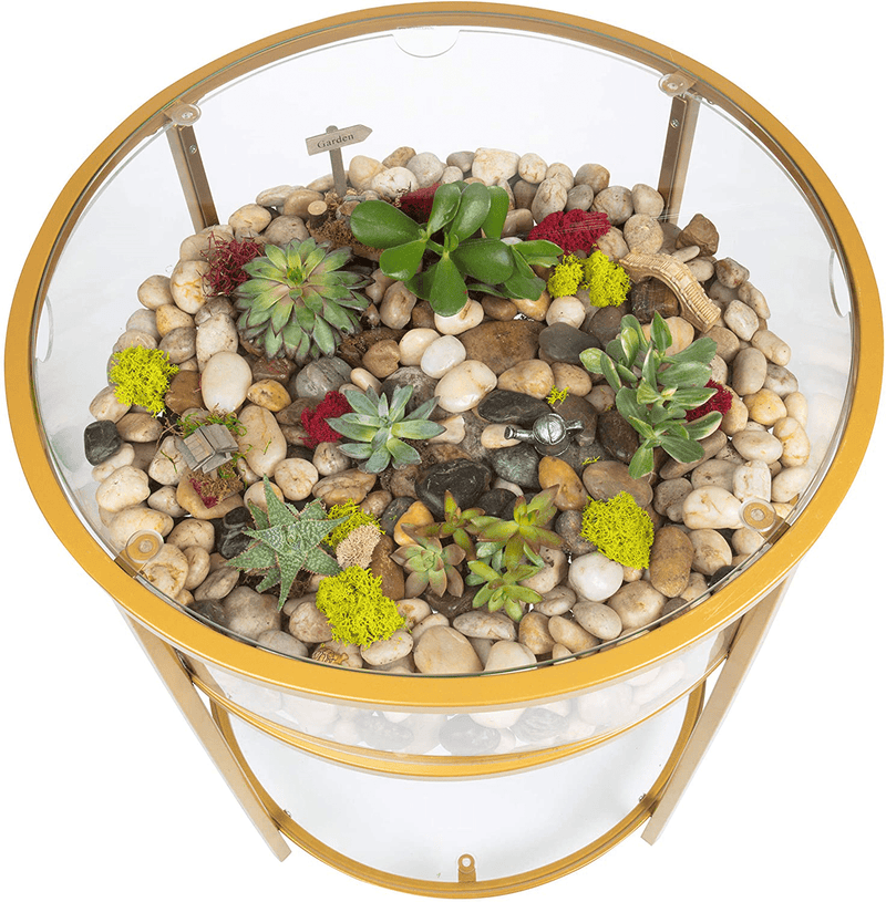 Round Terrarium Display End Table with Reinforced Glass in Gold Iron- 20"W x 26.5"H- Great Indoor Decor for Any Home or Office- DIY Garden for Fern Moss Succulents Cactus- A Unique Any Occasion Gift